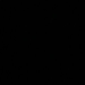 Meet your Posher, Brodie